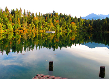blue calm body of water in front of green leaf trees at daytime thumbnail