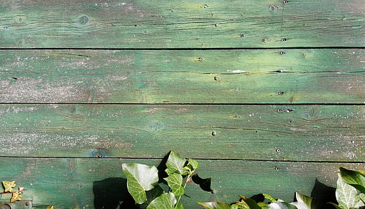 green leaves thumbnail