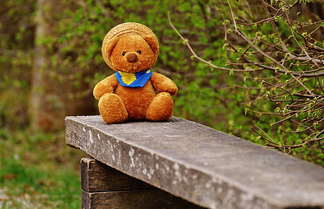 brown bear plush toy on wooden bench thumbnail