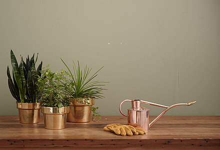 Swedish Polished Brass Planter thumbnail