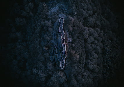 brown islet surrounded by trees thumbnail