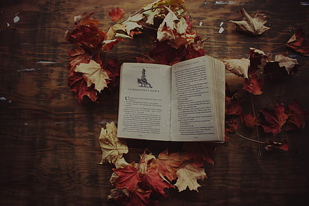 opened page of book surrounded by maple leaves thumbnail