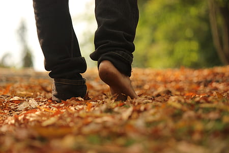 barefooted person walking on dried leaves thumbnail