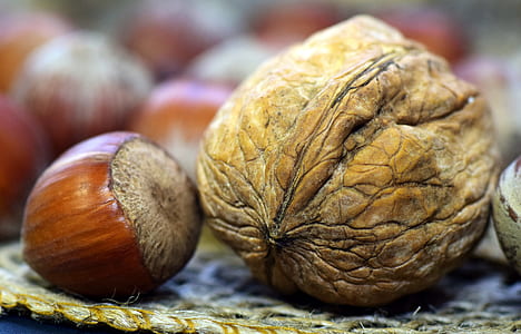almond and wallnuts thumbnail