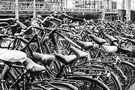 grayscale photography of inline bicycles thumbnail