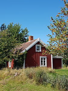 brown and white wooden house beside trees thumbnail