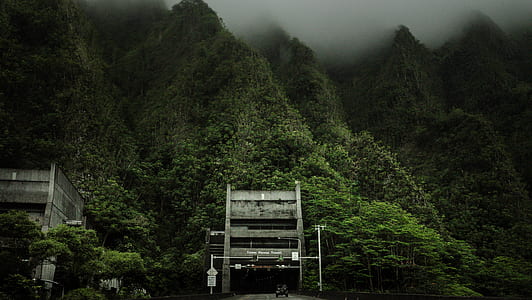 gray concrete building front of green trees thumbnail
