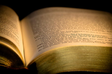 opened book thumbnail