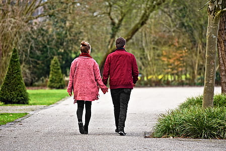 two women and man walking near of trees thumbnail