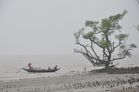 people on boat raft going near tree at cloudy day sky thumbnail