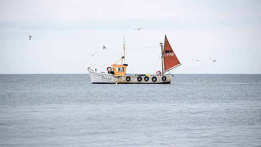 white and red sailboat during daytime thumbnail