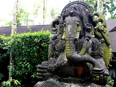 green and gray Ganesha statue near green plant thumbnail