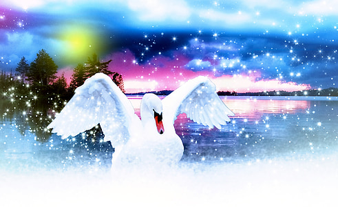 white goose spread its wings thumbnail