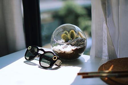black sunglasses beside open glass terrarium thumbnail