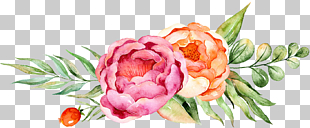 Floral design Watercolor painting Flower, Watercolor floral decoration, pink and orange flowers painting PNG clipart