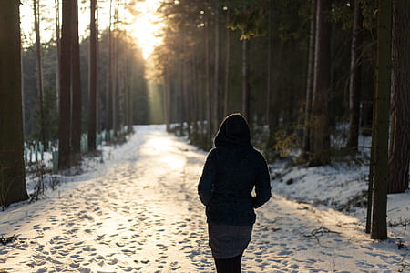 person walking on pathway between trees thumbnail