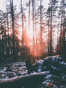photo of man standing in front of rock thumbnail