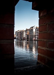 black buildings beside body of water thumbnail