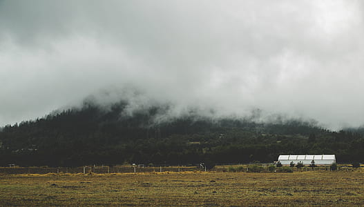 landscape photography of mountain thumbnail