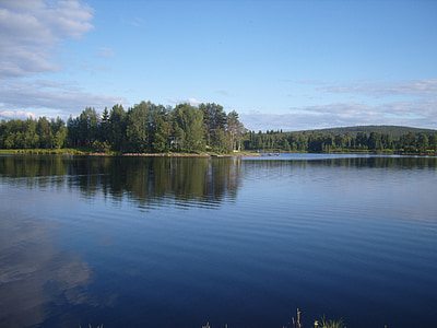 tall green trees beside calm body of water under white clouds and blue sky thumbnail