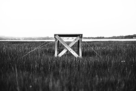 grayscale photography of brown wooden crate surrounded by grass thumbnail
