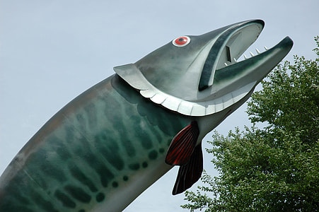 Husky the Muskie Fish Statue in Kenora, Ontario, Canada thumbnail