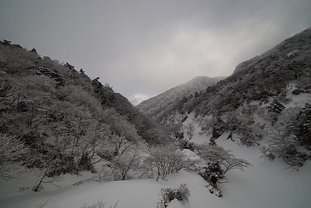 snowfield thumbnail