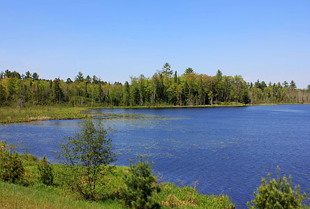 Left Side of Wood Lake at Governor Thompson State Park, Wisconsin thumbnail