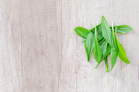 green leaves on white surface thumbnail