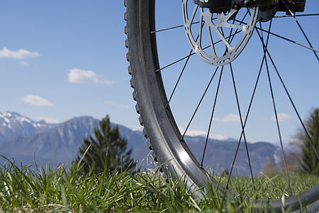 bike near trees thumbnail