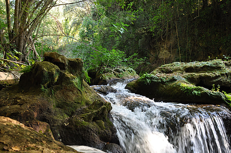waterfalls between trees during daytime thumbnail