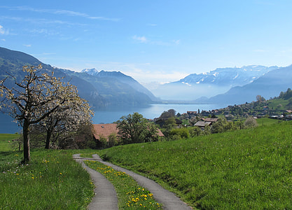river between mountain with green leaf tree under blue sky view during daytime thumbnail