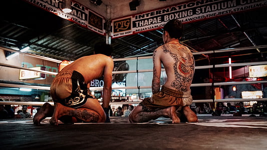 two person wearing Muay Thai shorts kneeling on ring thumbnail