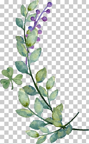 Second Life Wedding invitation Bride, Watercolor leaves blueberry decoration , green leaf painting PNG clipart