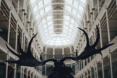 Museum of Natural History thumbnail