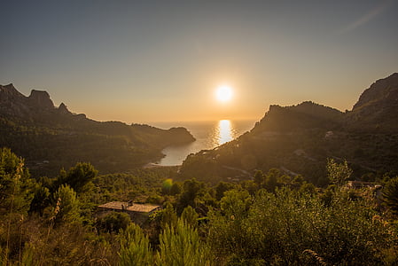 green forest near rock formation during golden time thumbnail