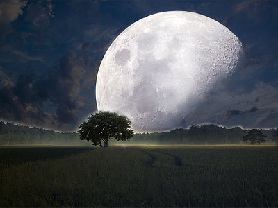 full moon and silhouette of tree graphic thumbnail