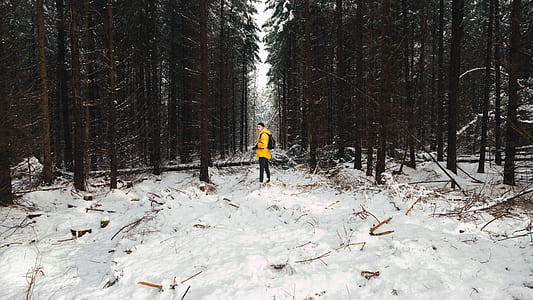 person standing on snow near green pine trees during daytime thumbnail