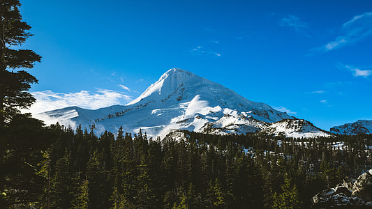 mountain filled with snow with green trees under the blue sky thumbnail