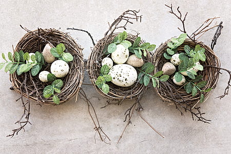 three nests with white-and-brown spotted eggs thumbnail