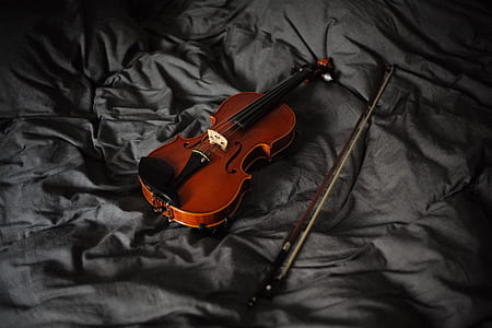 brown and black violin on gray textile thumbnail