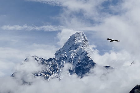 photo of flying bird and mountain apls thumbnail