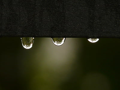 macro shot photography of water drop thumbnail