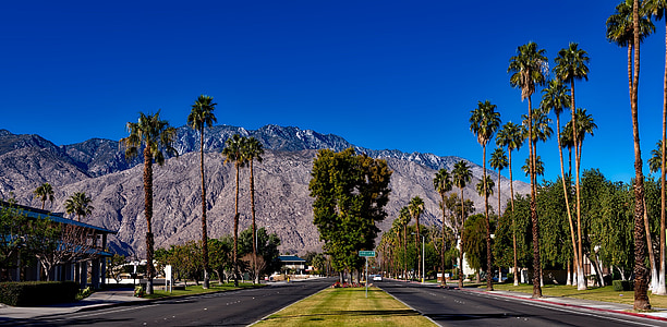 trees in between and on side of roads thumbnail