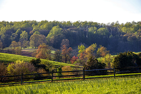 photo of grass field and mountain thumbnail