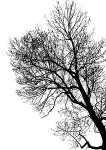 silhouette of tree painting thumbnail