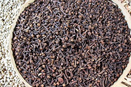 bowl of seeds thumbnail