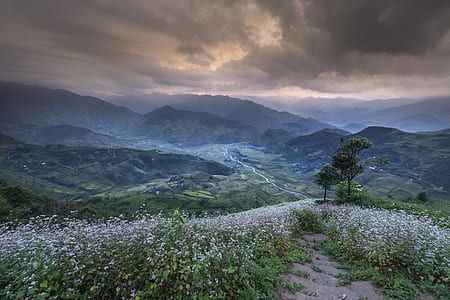 green leafed trees on hills at daytime thumbnail