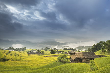 brown house surrounded by green field thumbnail