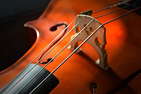 selective focus photography of violin strings thumbnail